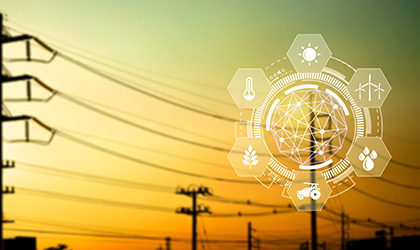 img-muestra-categoria